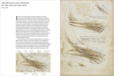 Leonardo da Vinci, Anatomist