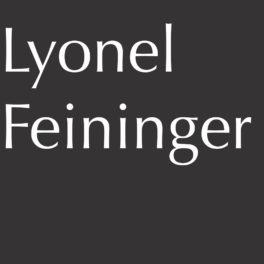 Lyonel Feininger’s Photographic Vision