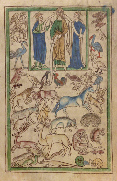 The Manuscript Files: An Impish Ape in a Medieval Zoo