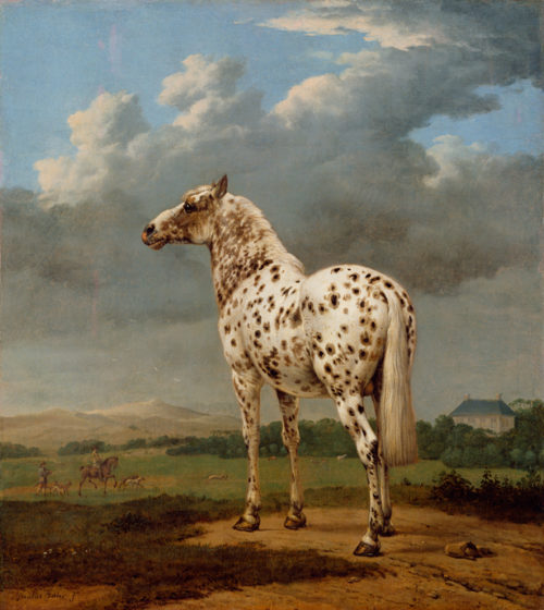 A Horse, Of Course! Curator Anne Woollett on Equine Painting