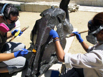 Waxing and Waning of Summer in Decorative Arts & Sculpture Conservation