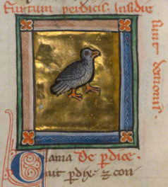 On the 12 Days of Christmas, My True Love Gave to Me…