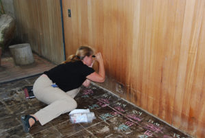 GCI scientist Joy Mazurek carrying out an investigation of the wood panels.