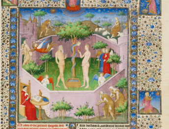 A Field Guide to Renaissance Gardens