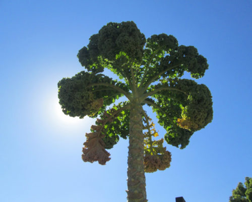 Getty Voices: Photographing with Abelardo Morell