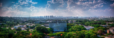 Art Historical Books Bound for Brazil