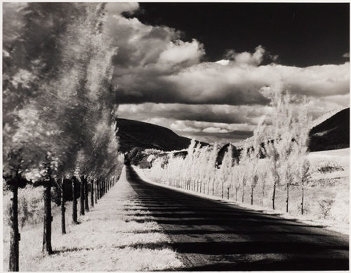 Transformed by Minor White