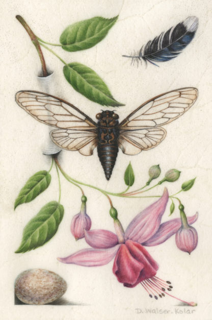 Botanical Art Inspired by Renaissance Illuminations