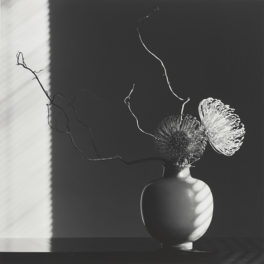 How Do People Confront Mapplethorpe’s Photography Today?