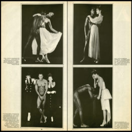 Robert Mapplethorpe: The Commercial Archive and the Sexualization of the Black Male Body