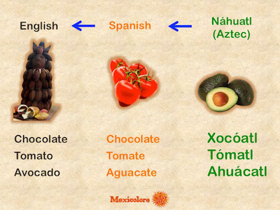 Text graphic showing the Nahuatl, Spanish, and English names for chocolate, tomato, and avocado