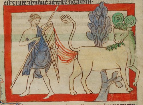 The Bonnacon, Laughing Stock of the Medieval Bestiary