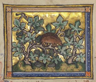 The Hardworking, Homemaking Hedgehog