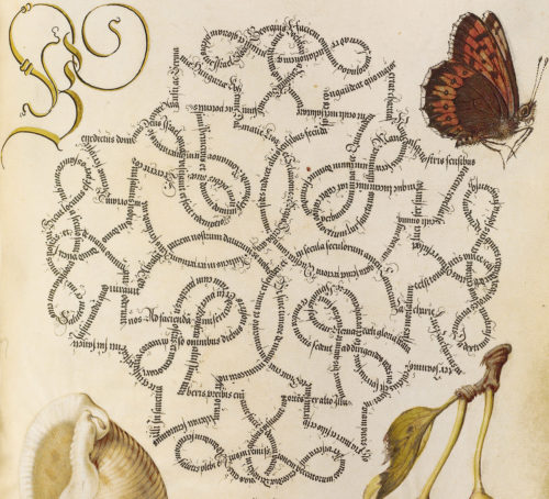 Two Intricate Calligraphy Pages from the Sixteenth-Century Manuscript “Mira Calligraphiae Monumenta” Have Been Decoded for the First Time