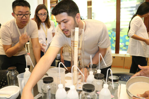 Earthen Heritage Conservation: A Perspective from Afghanistan