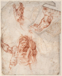 Why Did Michelangelo Use Red Chalk?
