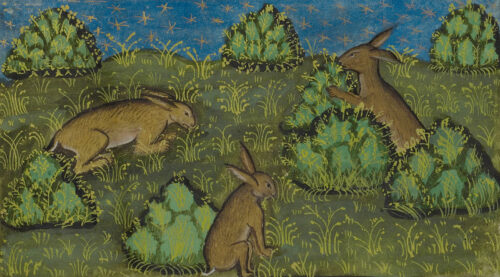 Burrowing through Getty’s Online Collection in Search of Cute Bunnies