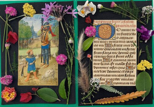 Explore the Illuminated Natural World