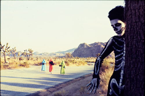 The Sisters of Survival and the “Spectre of Extinction”