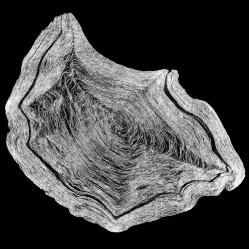 PODCAST: Reading Ancient Scrolls with Modern Technology