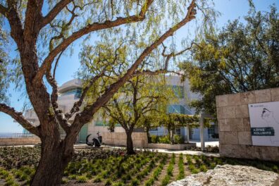 Gardening in the Time of COVID