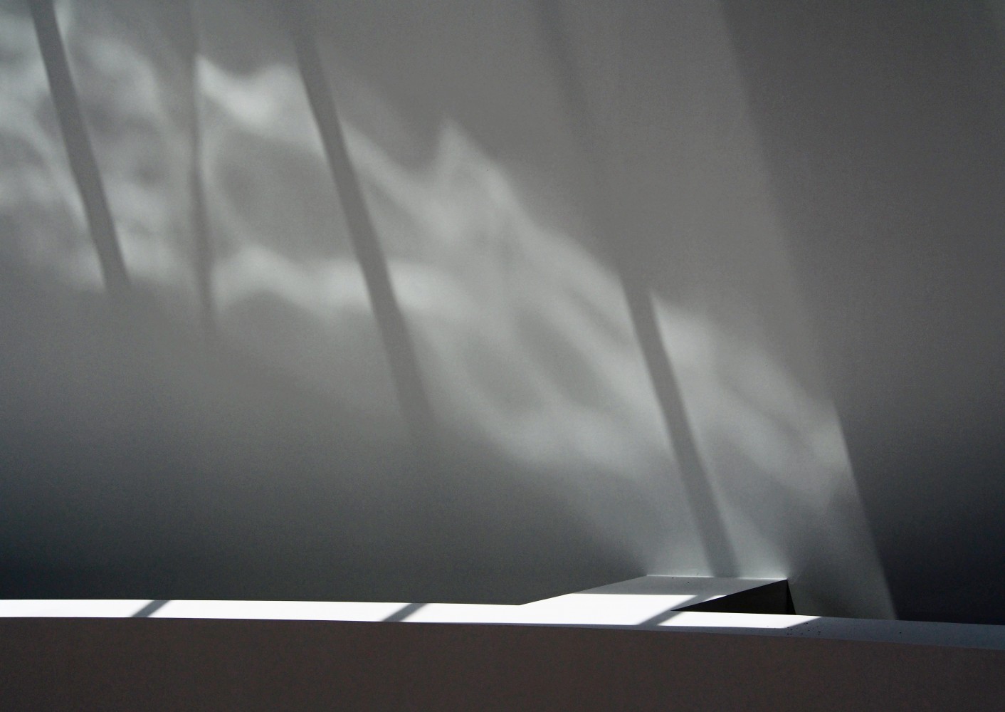 Blanc et Noir