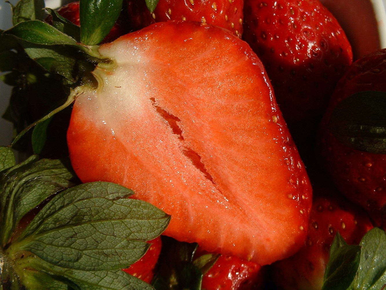 Tantalizing the Senses