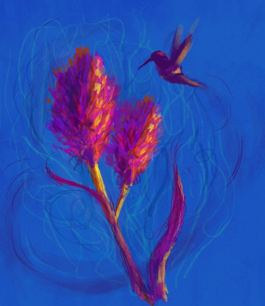 Flight of the Hummingbirds