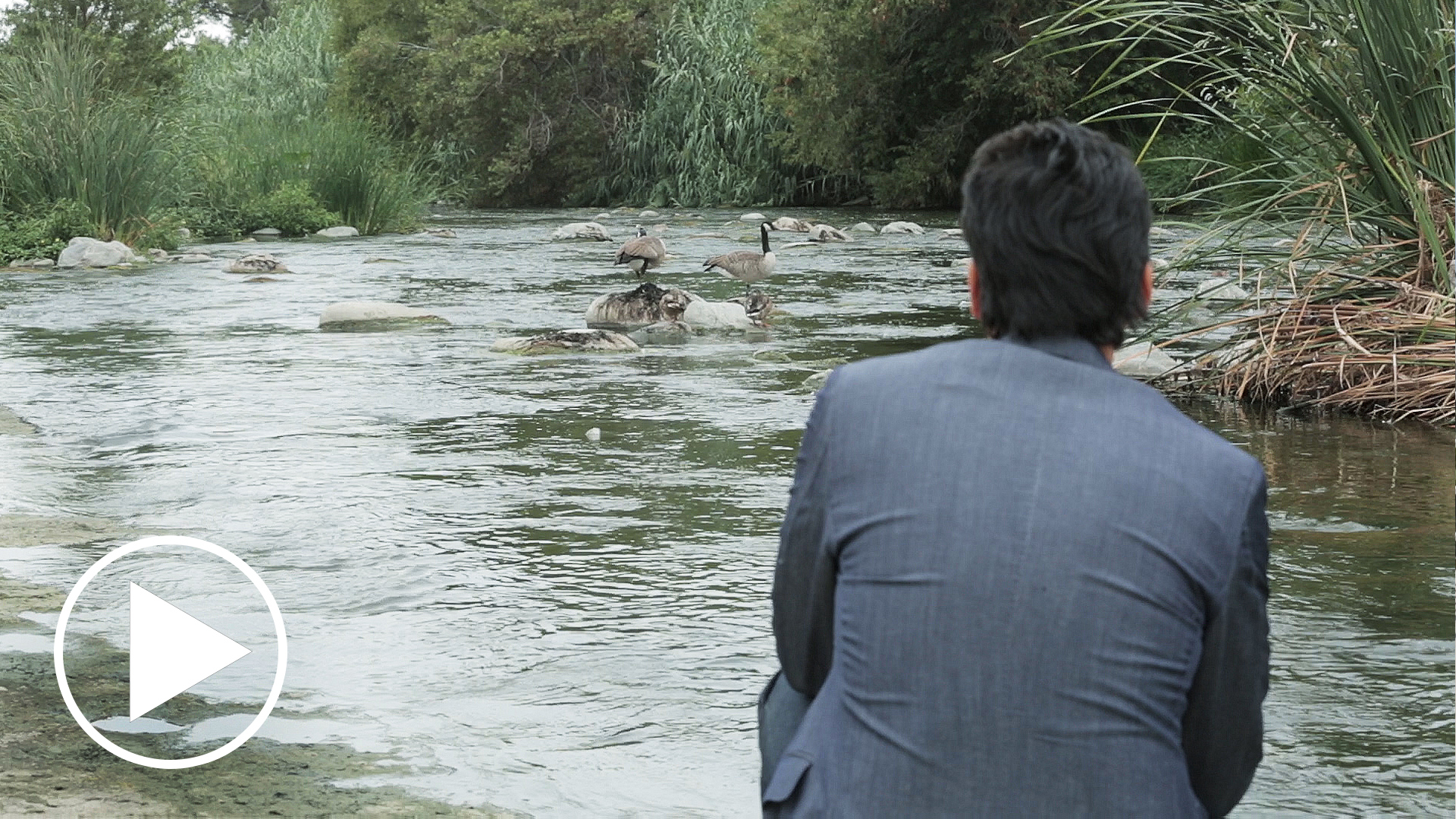 Finding Nature in L.A.