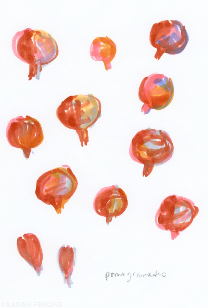 Illustrated pomegranates / Sarah Ferone