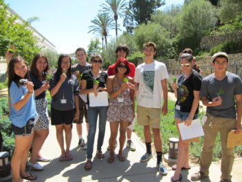 Discovering Latin at the Getty Villa
