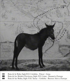 Rethinking Latin American Art