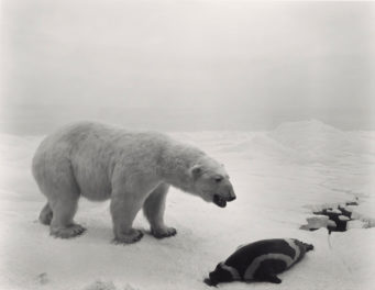 Diorama-rama: History Behind Glass