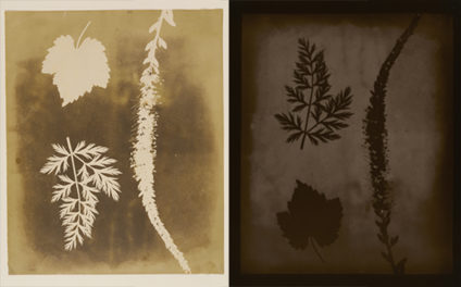 Re-Picturing Photographic History
