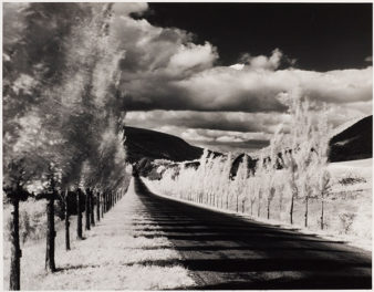 Transformed by Minor White