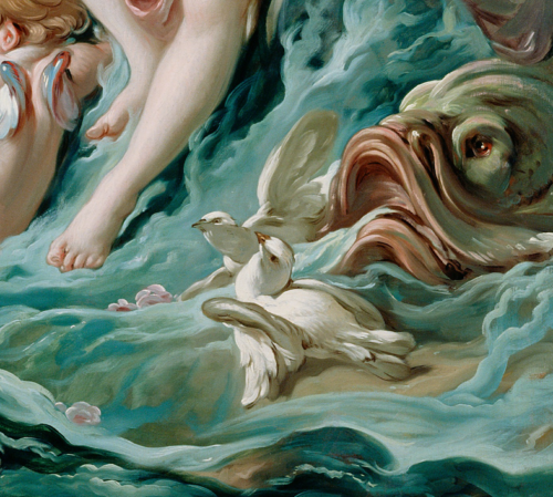 Whale Tales and Sea Monsters