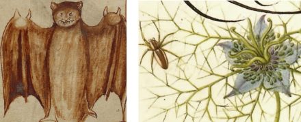 Delightfully Horrifying Manuscript Illuminations