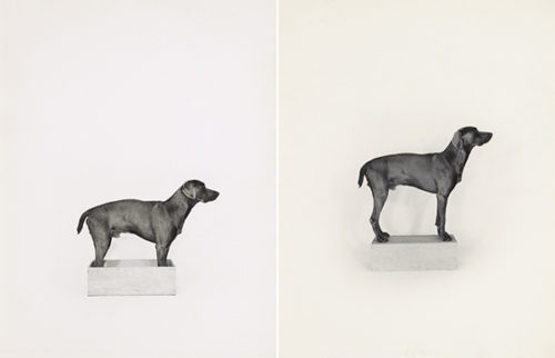 A Brief History of Animals in Photography