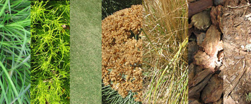 Getty Gardens: Brown Is the New Green