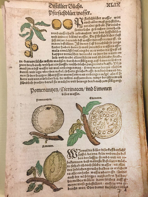 The Origins of Flavored Waters