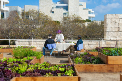 Getty Salad Garden: Robert Irwin
