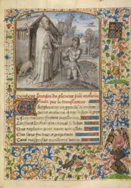 Heraldry Illuminated: Deciphering Coats of Arms and Other Manuscript Mysteries