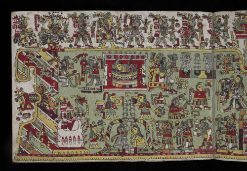 The Bug That Had the World Seeing Red