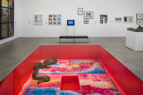 On Snakes, Spiders, and Bananas: The Flora and Fauna of PST: LA/LA