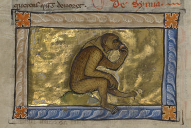 Monkey See, Monkey Do, Monkey Sin