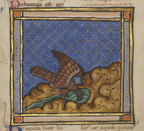 Eagle as Ideal Ruler from the Ancient World to the Founding Fathers