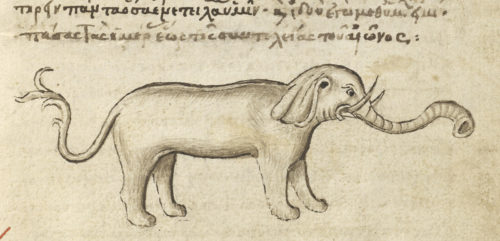 The Implausible Medieval Elephant