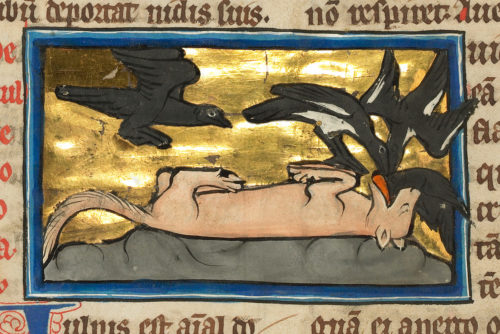 The Foxy Devil of the Medieval Bestiary