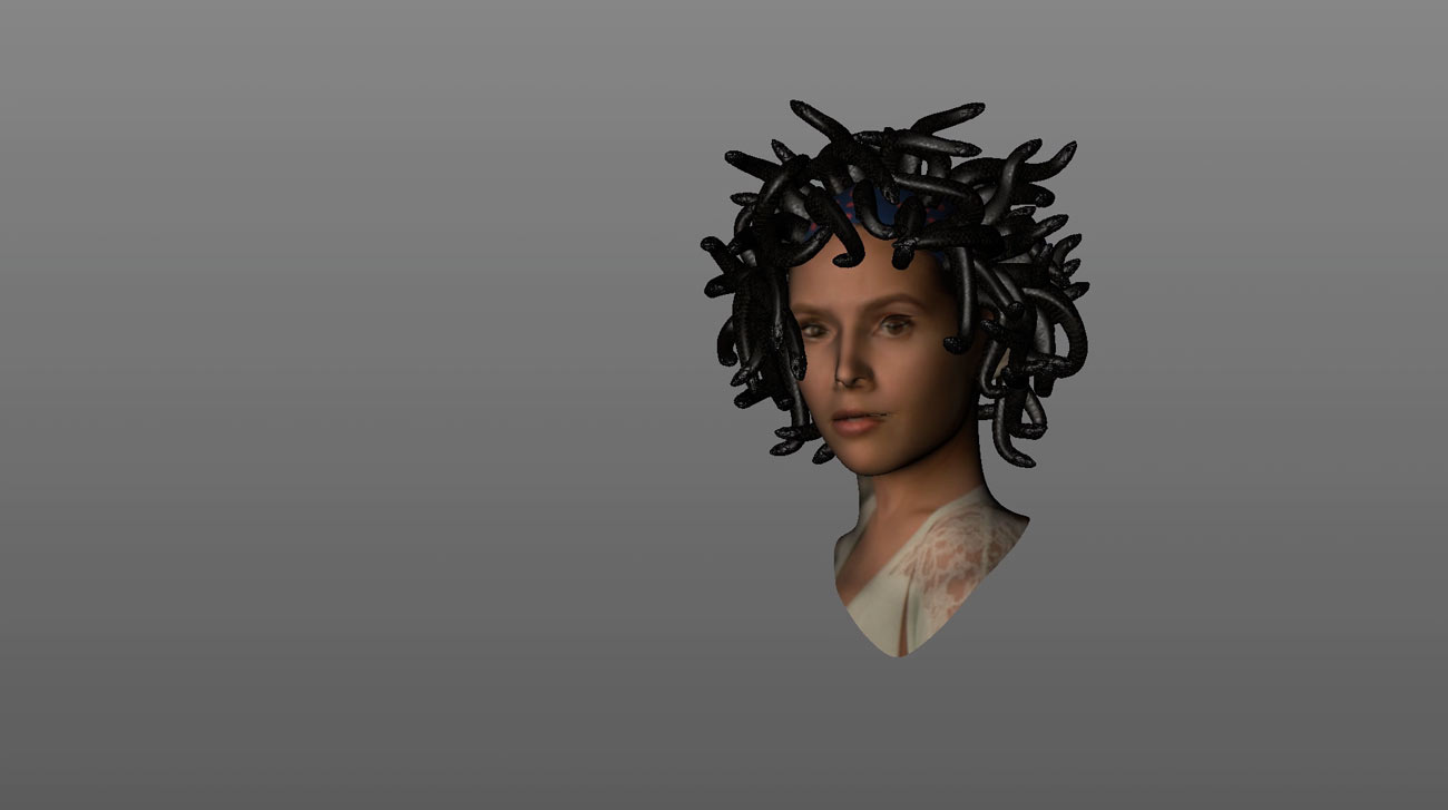 In this view only the computerized portion of the image is shown -- the woman's head with snakes.