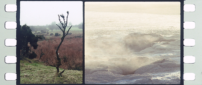 <em>Antigone</em>, 2018, Tacita Dean. 2 synchronized 35mm color anamorphic films, optical sound, with a running time of exactly 1 hour, continuous loop synced to start on the hour. Courtesy of the artist, Frith Street Gallery, London and Marian Goodman Gallery, New York / Paris. Antigone, 2018, Tacita Dean. 2 synchronized 35mm color anamorphic films, optical sound, with a running time of exactly 1 hour, continuous loop synced to start on the hour. Courtesy of the artist, Frith Street Gallery, London and Marian Goodman Gallery, New York / Paris.